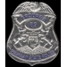 MICHIGAN STATE POLICE PIN MINI BADGE PIN